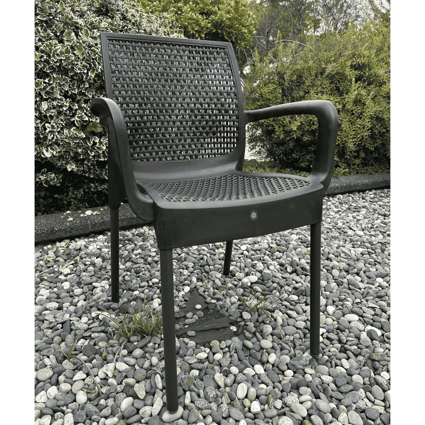 Defne Black Resin Armchair with Iron Legs – Indoor/Outdoor, Stackable and Weather-Resistant